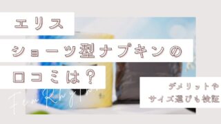 エリスのショーツ型ナプキンの口コミは？デメリットやサイズ選びも検証